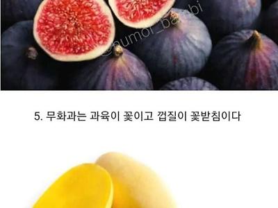 몰라도 상관없는 과일 상식 10가지