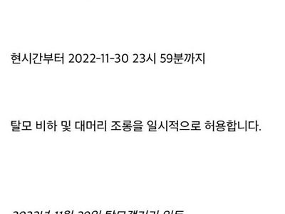가나전 종료 후 디씨 탈모갤러리