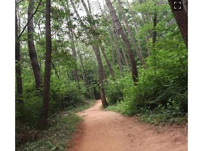 아파트 뒷산에 산책로 만든 의문의 남자