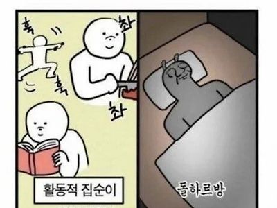 집순이도 급이 있다