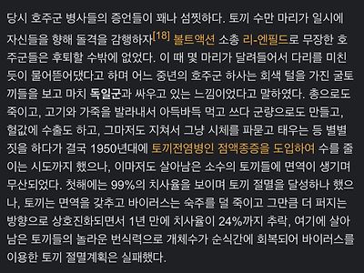150년째 토끼와 진짜 전쟁을 하는나라