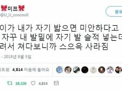 파블로프의 냥이