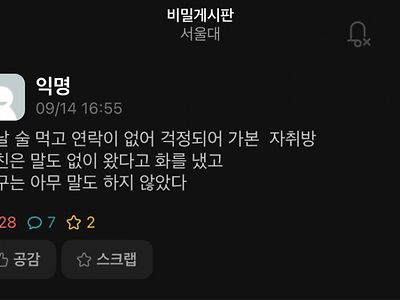 감성터진 서울대생의 삼행시