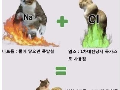 화학의 신기함