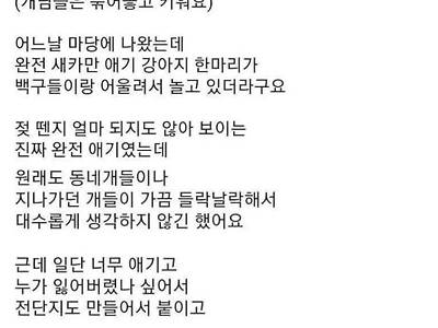 저희집에 모르는 개가 들어와서 살아요