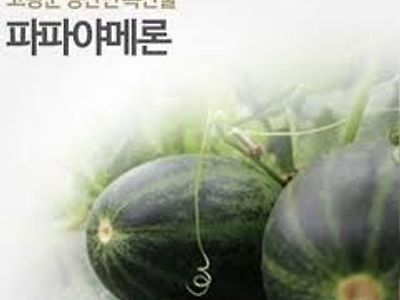 아빠그만해를 일본어로 하면?