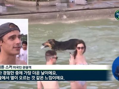 수영장에서 머릿결이 흩날리는 여자
