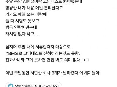 서류합격 회사 3곳 전부 탈락한 이유....