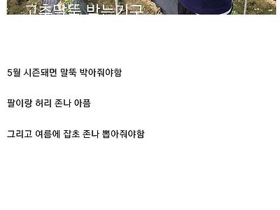 가격이 애미가 없는데 재배과정 보면 가격 이해가는 작물.jpg