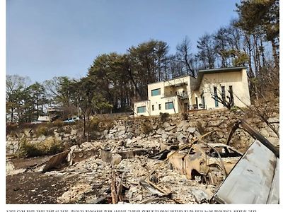 옆집 다 탔는데, 그을린 흔적도 없다…강릉산불 기적의 집