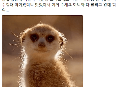 빵집에서 시식한 썰