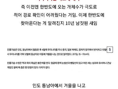 새 덕후가 분노하는 이유