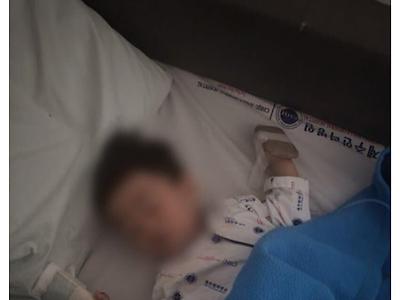 약혐) 동물원 토끼 아기손가락 물어 절단