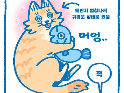 동물 사진 특