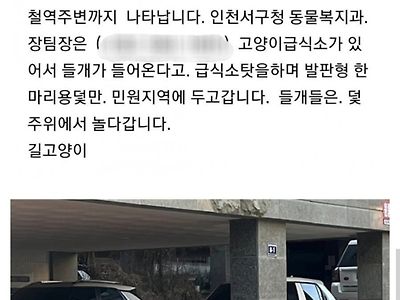 도심속의 들개들 ㄷㄷㄷ