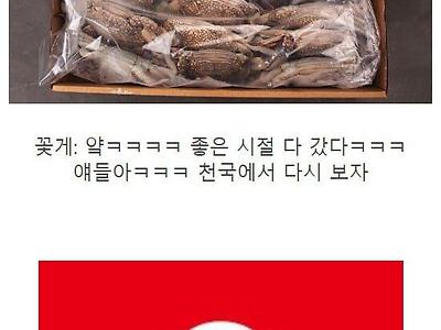 꽃게에 대한 한국인의 광기