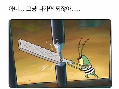 쓸데없이 정직한 녀석