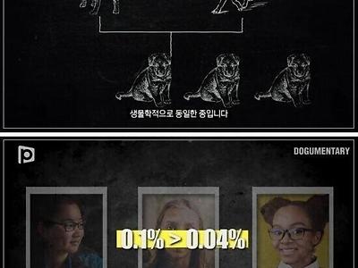 그저 당신을 사랑해요. 이유가 필요한가요?