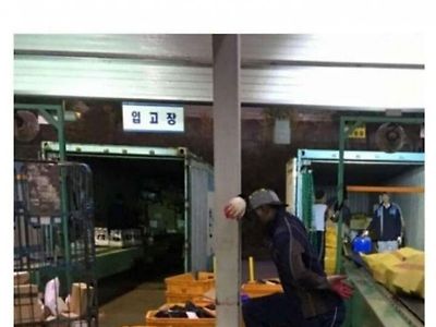 헬조선의 매운맛을 못 이겨낸 흑형