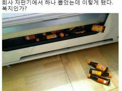 회사 자판기에서 비타500 한개를 뽑았는데