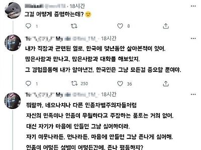 한국인은 우월주의 없다고 쉴드 쳐주는 외국인