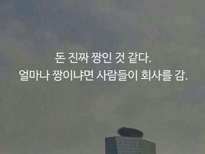 돈 진짜 짱인것 같다