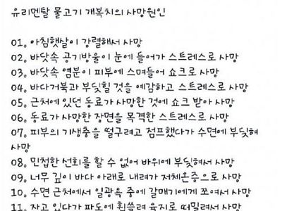 유리멘탈 개복치의 사망원인