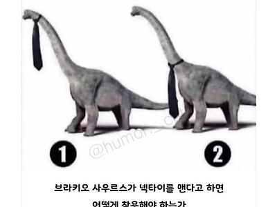 해외에서 논란중인 공룡 넥타이 논쟁