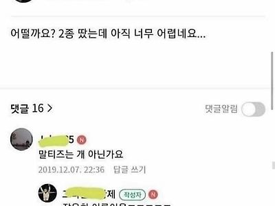 운전초보인데 말티즈로 연습하면.....