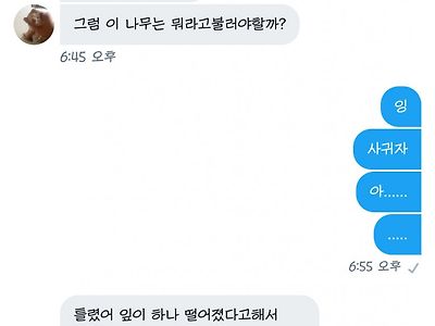 오귀자라는 나무가 있어