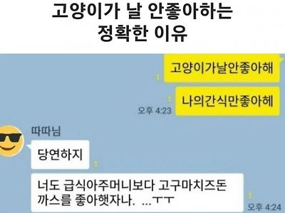 고양이가 날 안좋아하는 이유