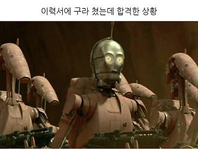 취업성공!