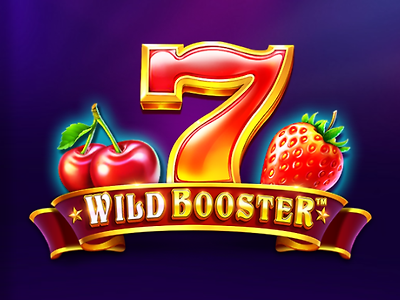 슬롯게임리뷰 와일드 부스터 Wild Booster