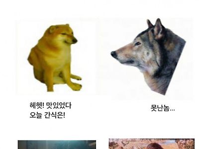 고양이와 개와 인간의 지금과 옛날