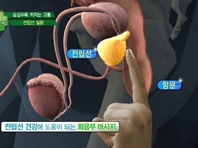 집에서 전립선 건강 지키기