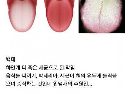 생각보다 안 쓰는 사람이 많다는 이것