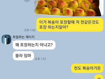 복숭아 포장할 때