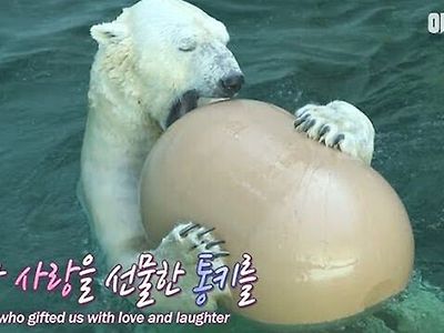 알등이 먹는 백곰.jpg