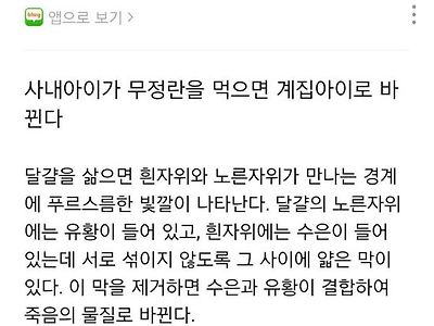 기적의 보추 만드는법