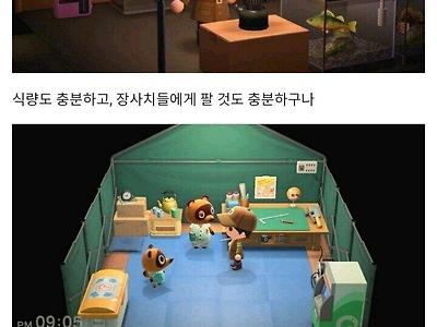 놀러오라우! 동무의 숲!