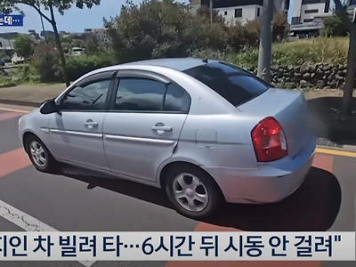 자동차키 오작동으로 절도범으로 몰린 관광객