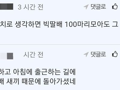 흉부외과 덤프트럭 사망사건 펨코 댓글
