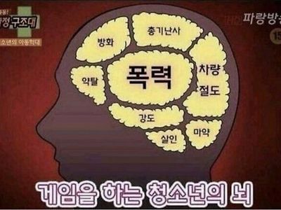 보는 순간 숨 막히는 짤