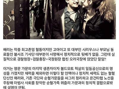 해리포터가 헤르미온느랑 못 이어진 이유...jpg