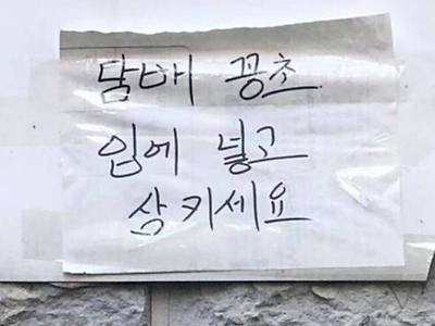 담벼락 노빠꾸