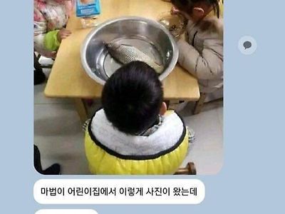 어린이집 물고기 대참사