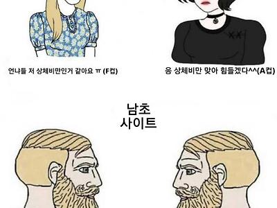 여초사이트와 남초사이트 차이 .jpg