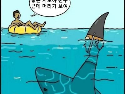 상어가 인간을 사냥하는 방법