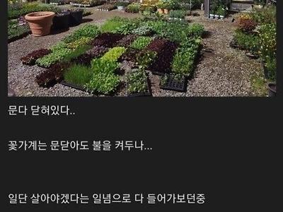 결혼기념일 까먹은 남자 생존기