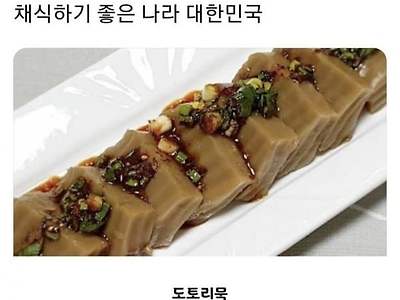한국의 비건들이 물로켓인 이유